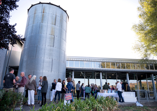 di Rosa Center for Contemporary Art, Gallery 1, Photo: Israel Valencia