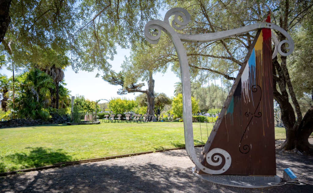 William T. Wiley, Harp