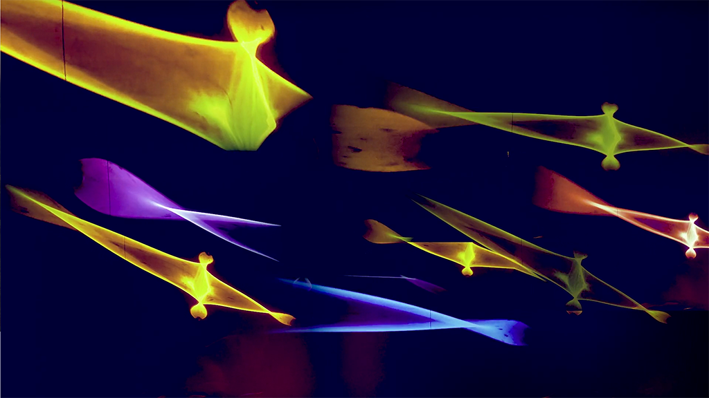 Colorful lightforms resembling birds