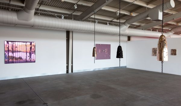 Installation view: Core Reflections - 29 Janurary - 28 June 2020 - di Rosa Center for Contemporary Art, Napa, CA.