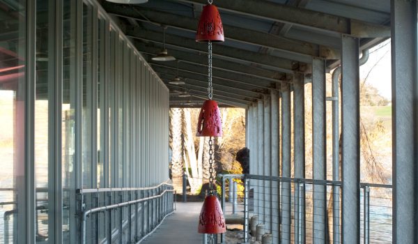 Installation view of: Drop, 2020 Patinated cast bronze bells, UV-protected two-stage catalyzed urethane, stainless steel chain and hardware, polyurethane clapper; Bells: 7.75 Ã— 5.75 Ã— 5.75 inches each, overall dimensions variable