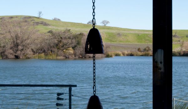 Installation view of: Drop, 2020 Patinated cast bronze bells, UV-protected two-stage catalyzed urethane, stainless steel chain and hardware, polyurethane clapper; Bells: 7.75 Ã— 5.75 Ã— 5.75 inches each, overall dimensions variable